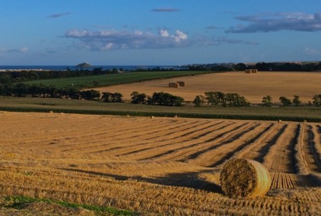 20140814 - Rooskagh1