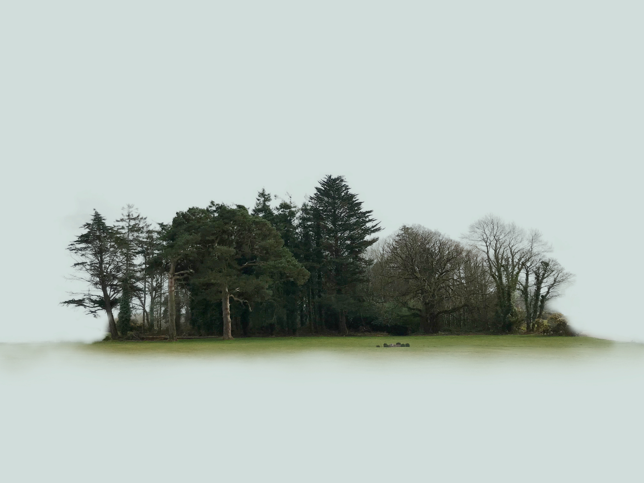 Image 01-03-2018 at 22.18