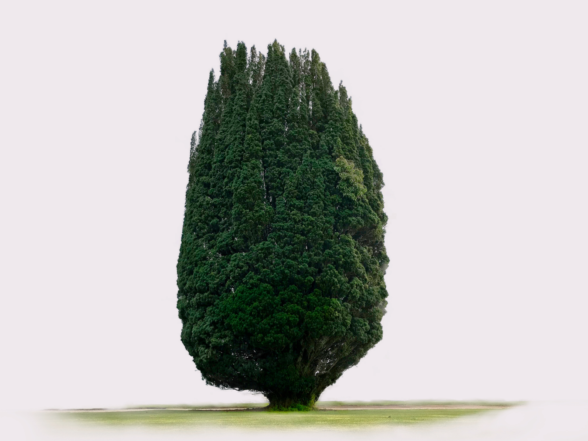 Image 02-03-2018 at 10.55