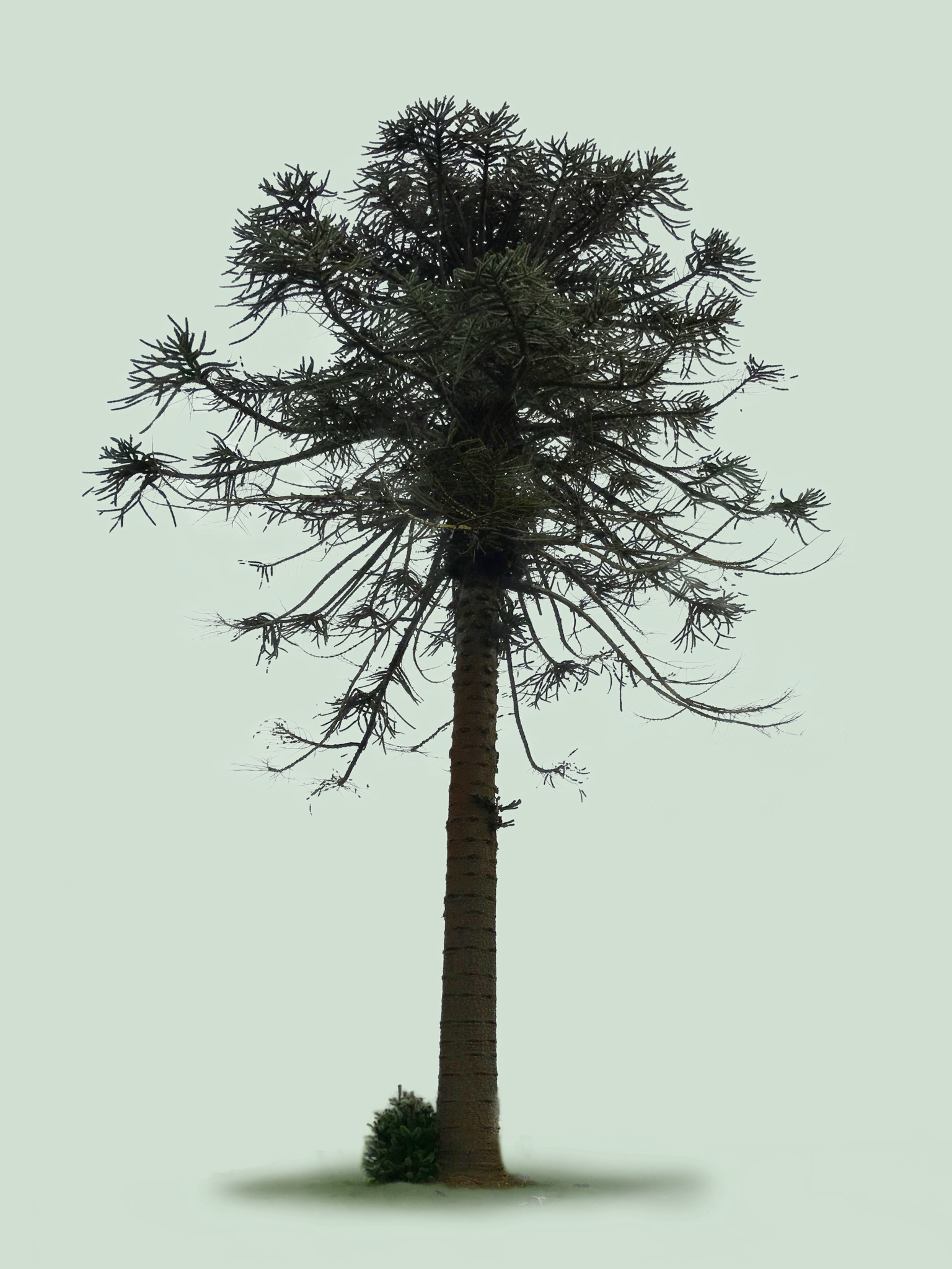 Image 03-03-2018 at 17.41