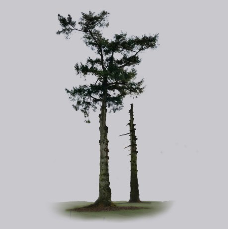 Image 26-02-2018 at 22.22